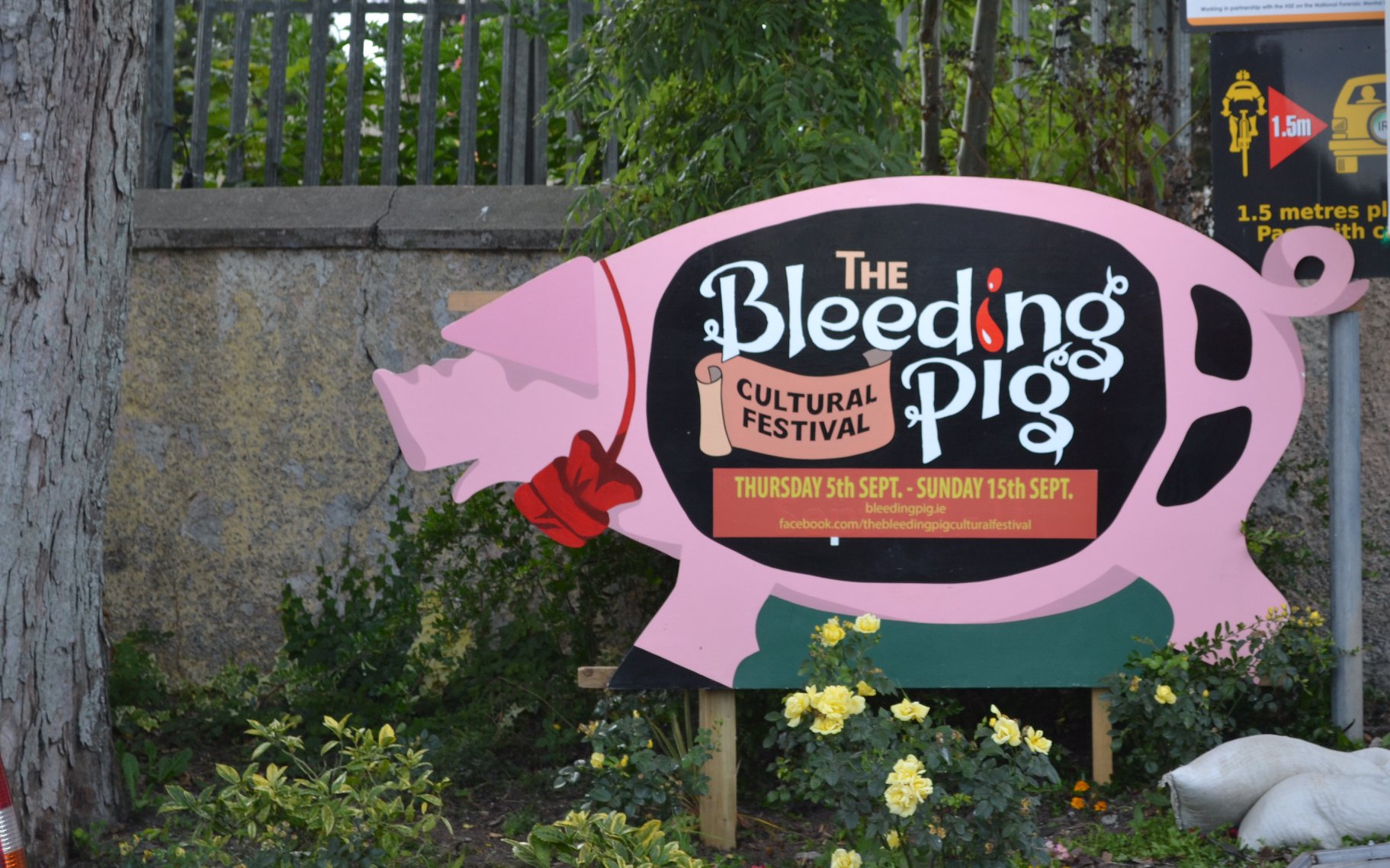 Bleeding Pig Cultural Festival Donabate Portrane - Lynders Mobile Home Park